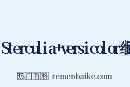 Sterculia+versicolor组词是什么意思的图片